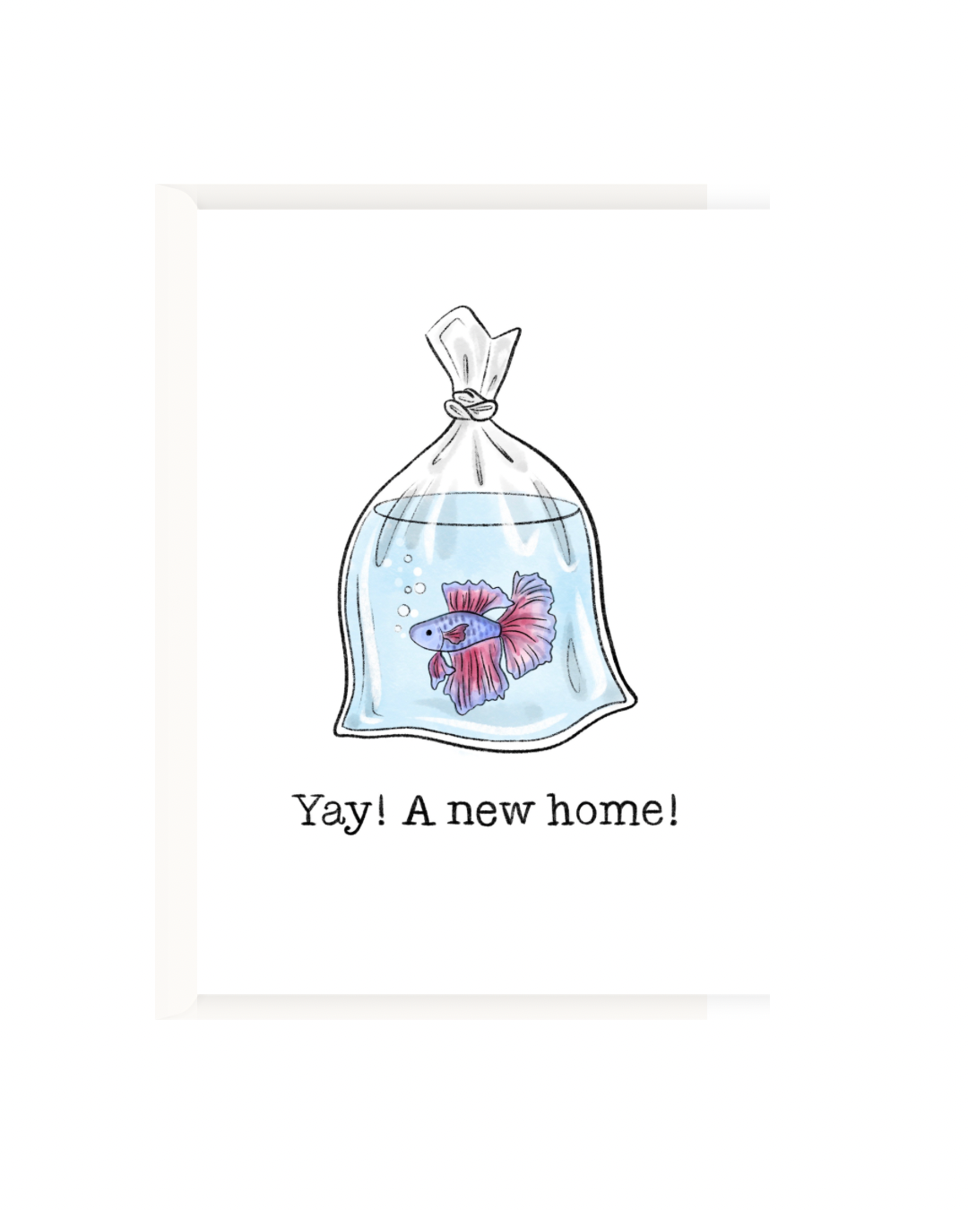 Yay! A new home!
