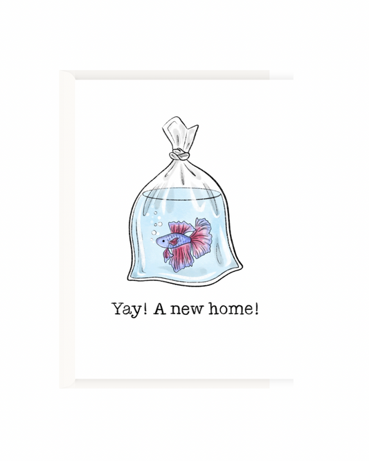 Yay! A new home!