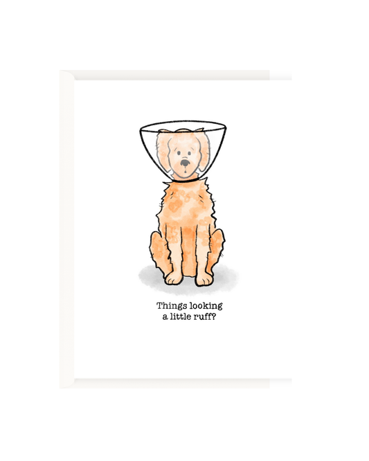 Sorry things are ruff